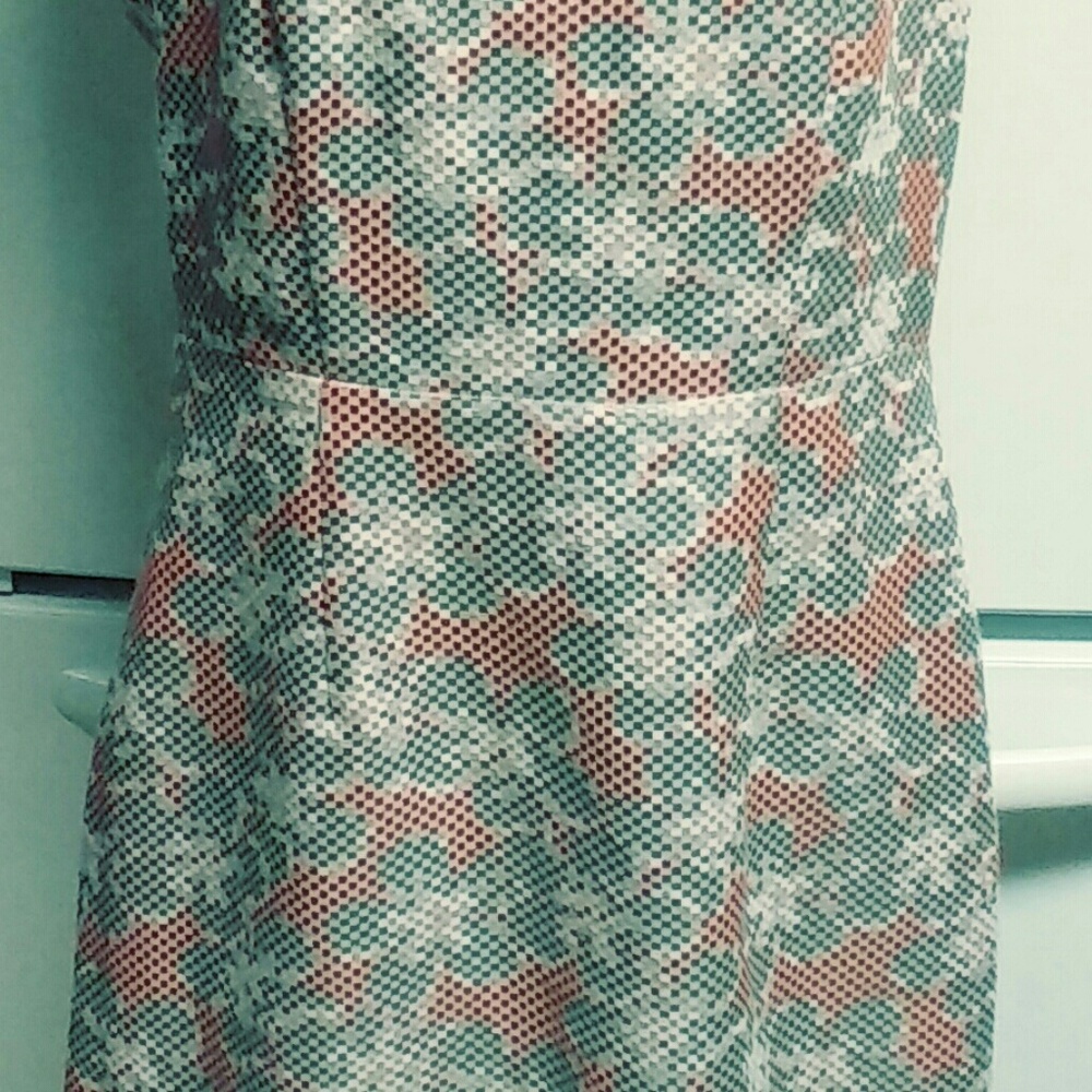 The limited dress